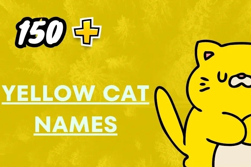 Yellow Cat Names