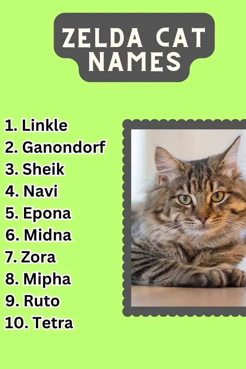 Zelda Cat Names