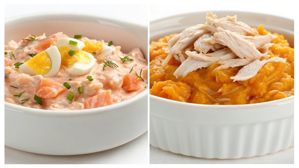 Tasty Homemade Cat Food Recipes for Weight Gain