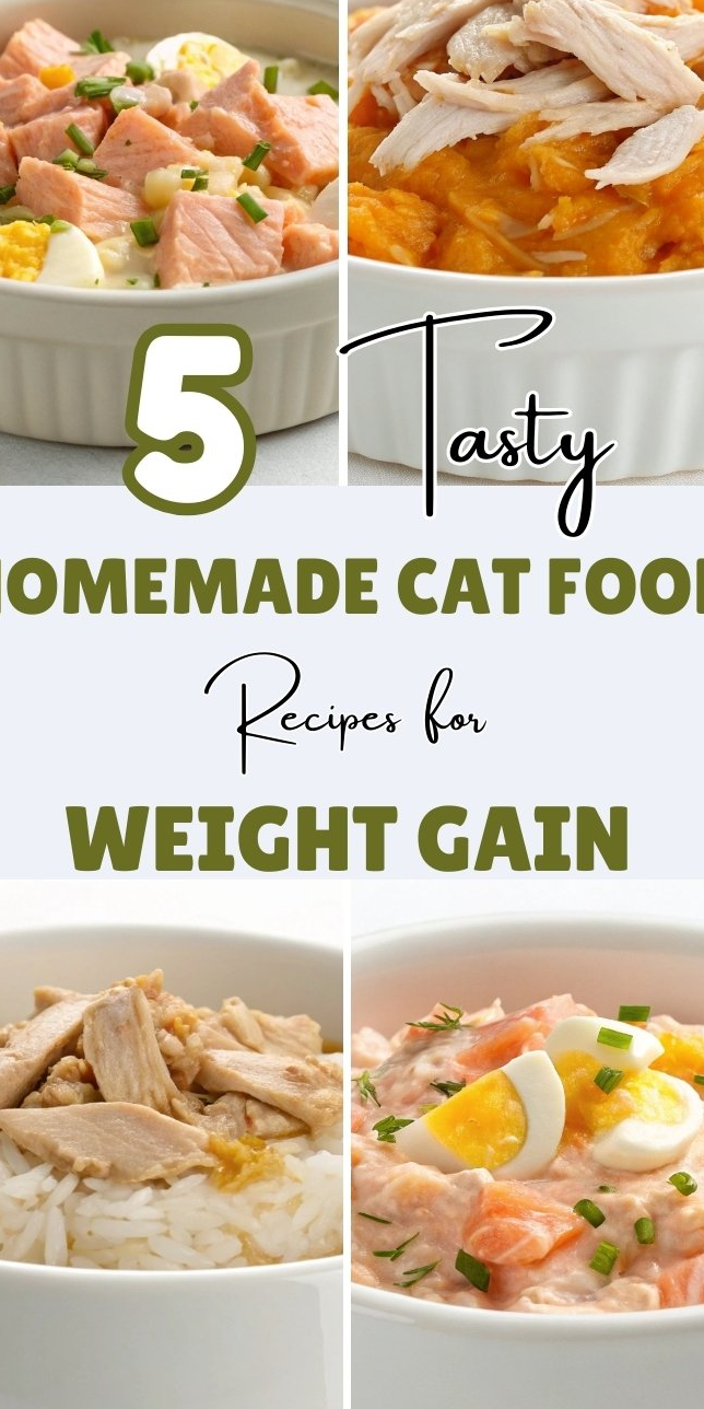 Tasty Homemade Cat Food Recipes for Weight Gain