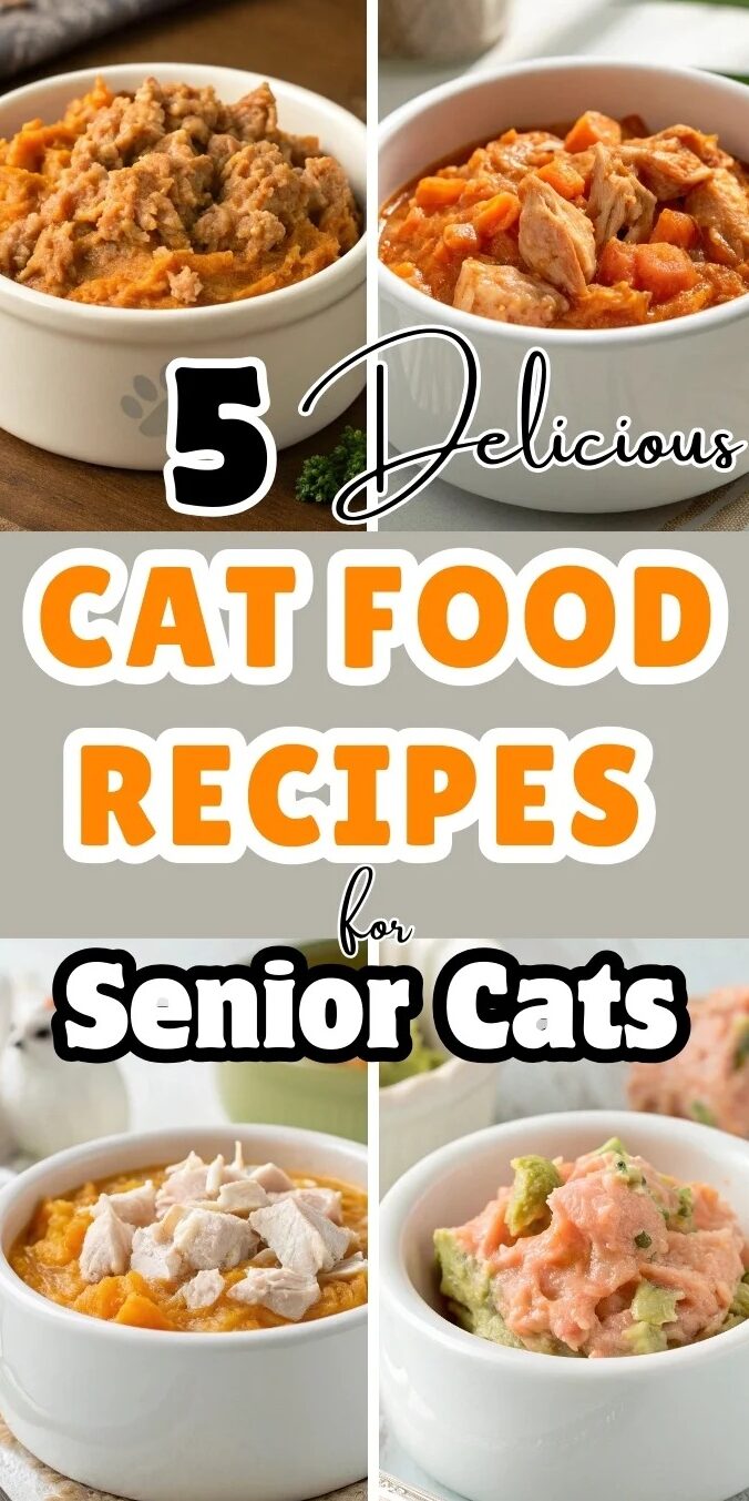 Cat Food Recipes