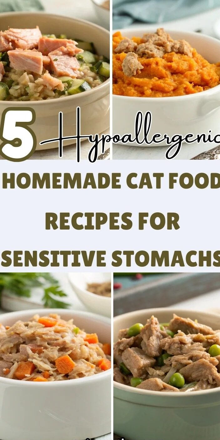 Hypoallergenic Homemade Cat Food Recipes