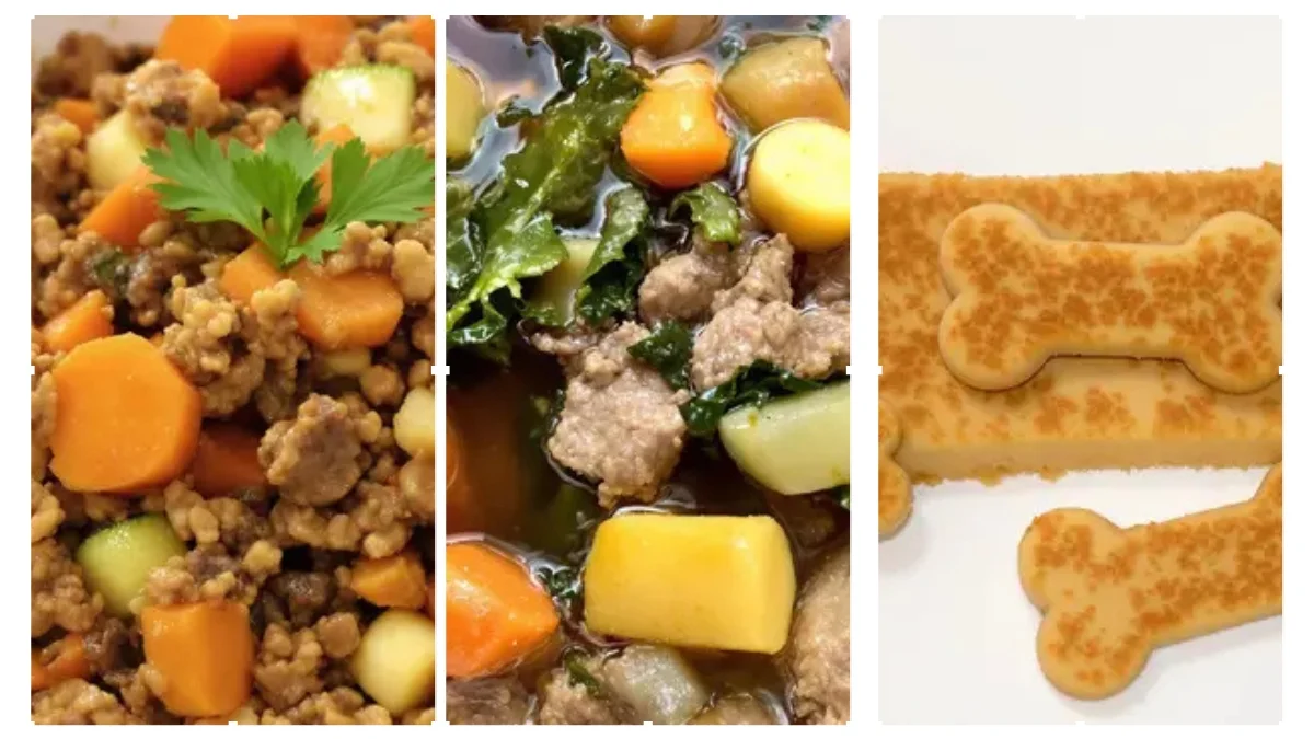 5 Dog Treats with Two-Ingredient Only