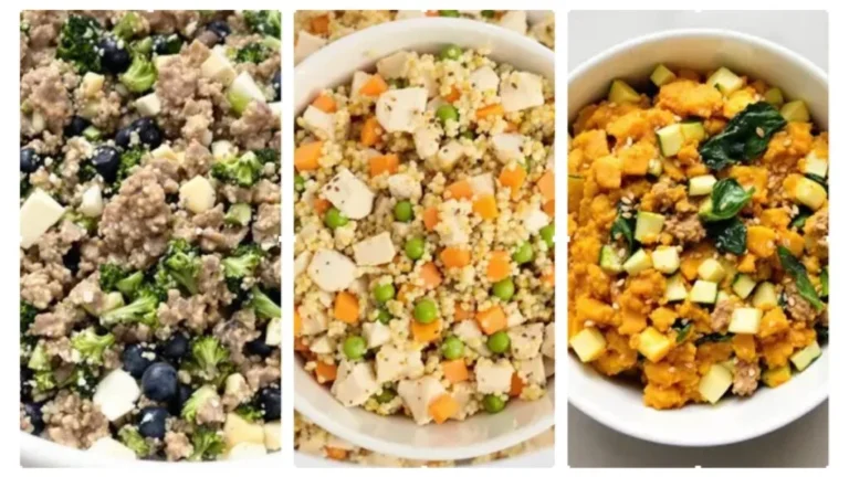 5 Grain Free Beef and Lamb Dog Food Recipes