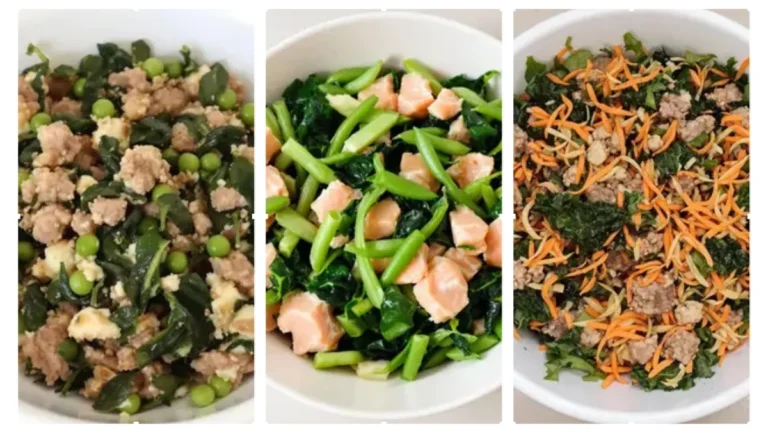 5-Homemade-High-Protein-Low-Carb-Dog-Food-Recipes