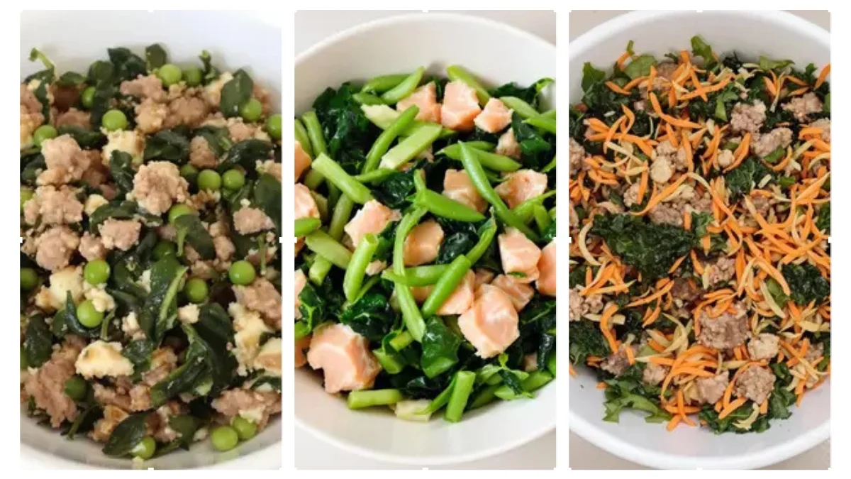 5-Homemade-High-Protein-Low-Carb-Dog-Food-Recipes