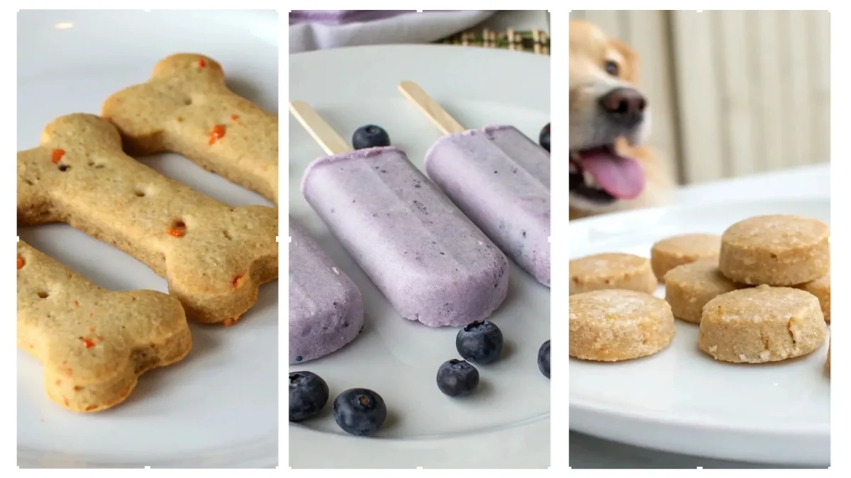 5 Low-Sodium Dog Treats for Heart Health