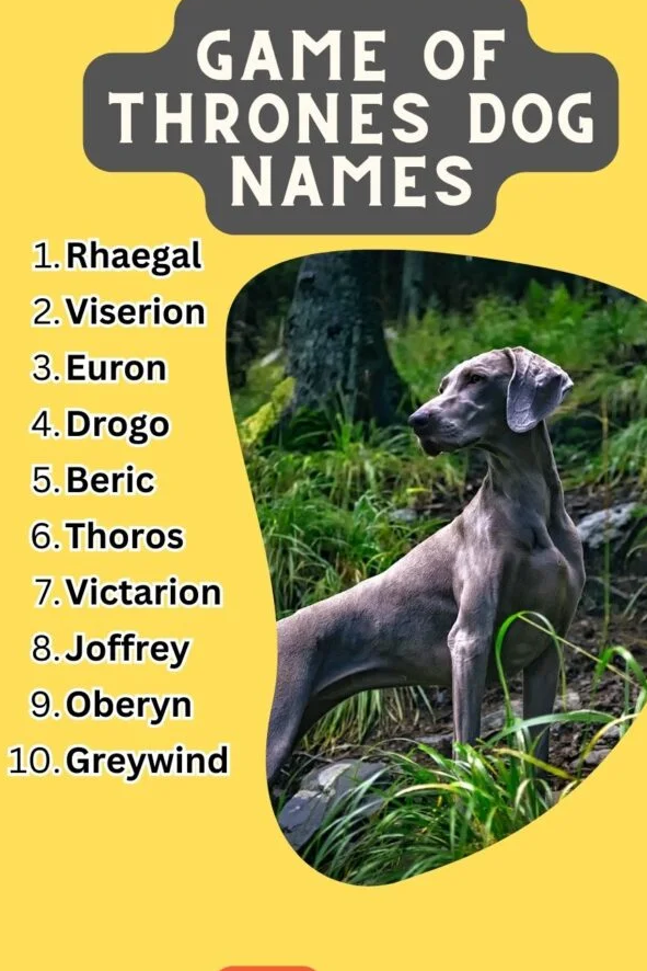 Thrones Dog Names