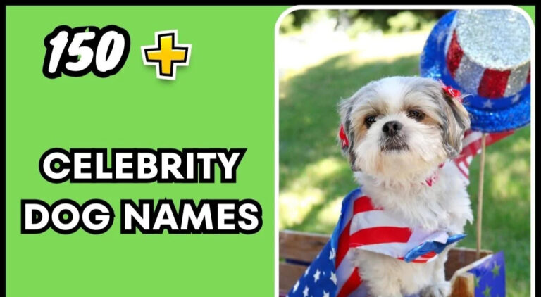 Celebrity Dog Names – Famous And Popular Picks