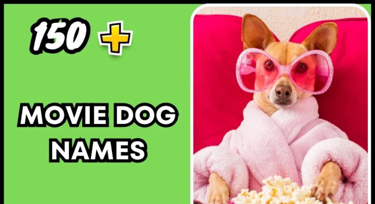 Movie Dog Names – Famous And Popular Choices