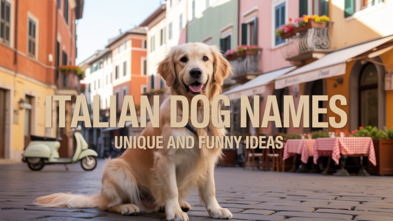 Dog Names
