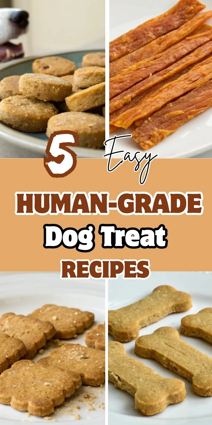 Human-Grade Dog Treat Recipes