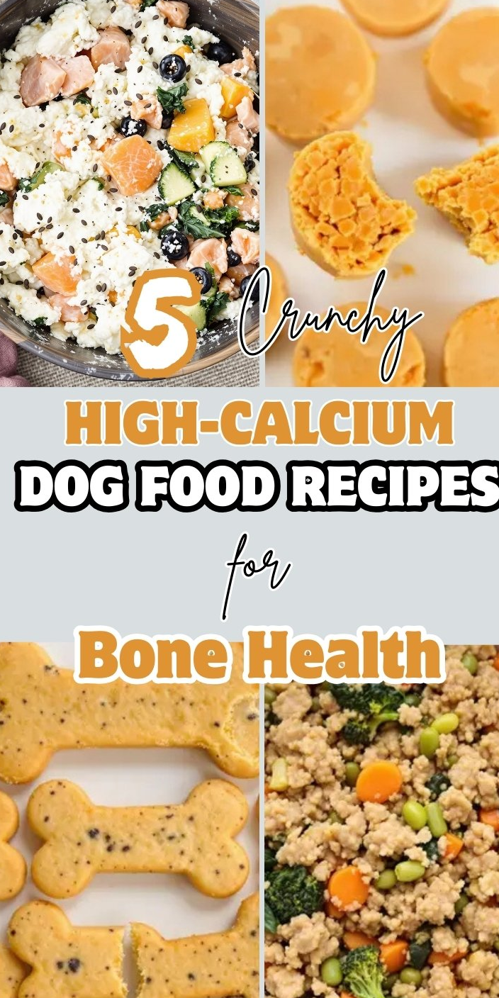 5 High-Calcium Dog Food Recipes for Bone Health