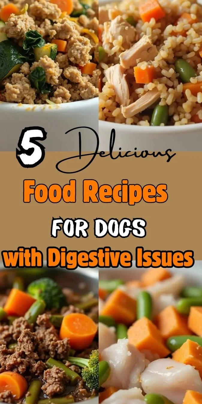 Dog Food Recipes for Dogs
