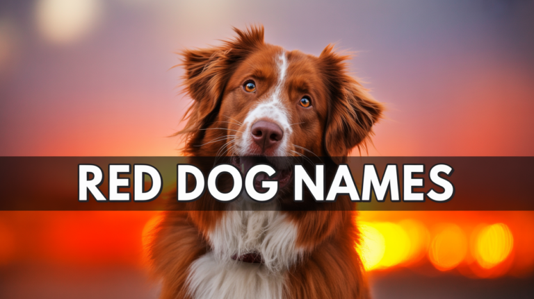Dog Names