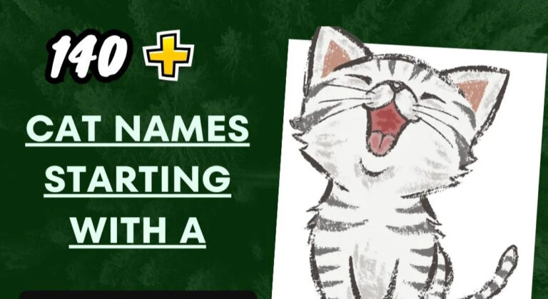 Cat Names Starting With A – Aspiring and Cute Ideas