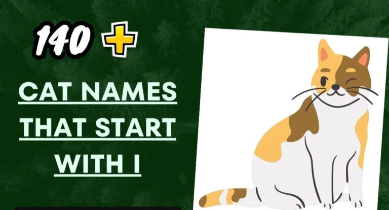 Cat Names That Start With I – Unique and Cute Cat Names