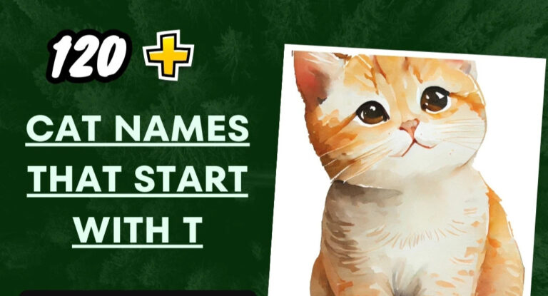 Cat Names That Start With T – Creative Ideas