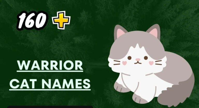 Warrior Cat Names – Reflecting their Wild Spirit!