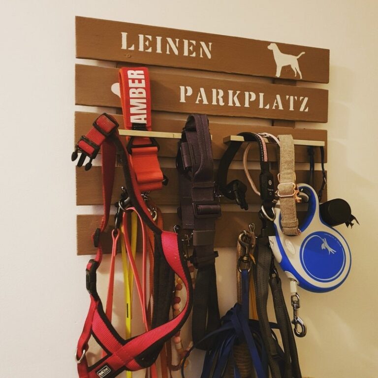 7 Ways to Organize Dog Leashes, Collars, and Harnesses