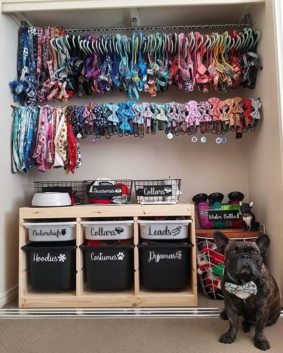 Dedicated dog closet with labeled bins and hanging collars